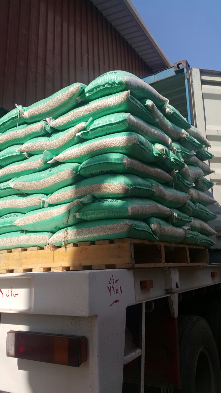 Beans-Cairo-03.jpg
