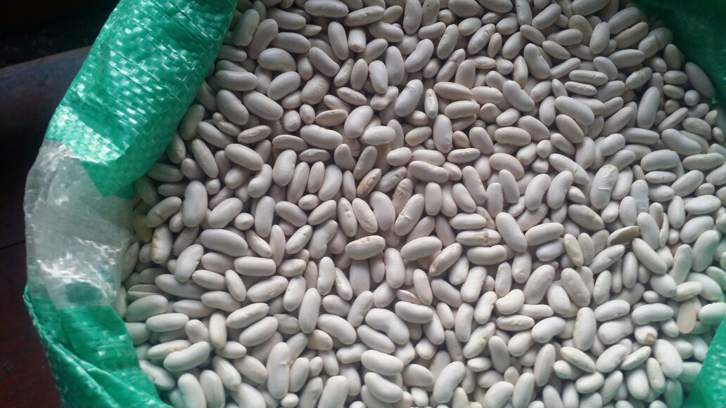 Beans-Cairo-10.jpg