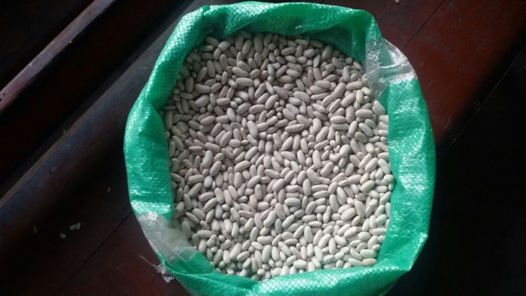 Beans-Cairo-14.jpg