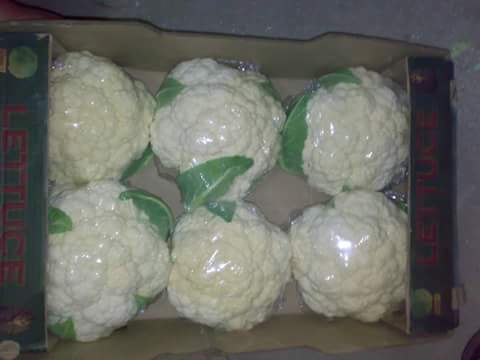 IMG-20161109-WA0017.jpg