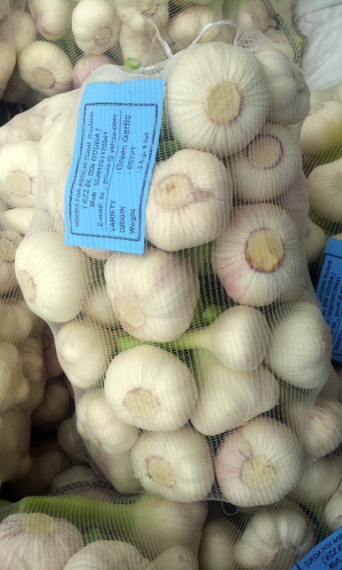 garlic_2.jpg