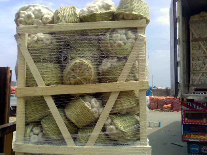 garlic_4.jpg