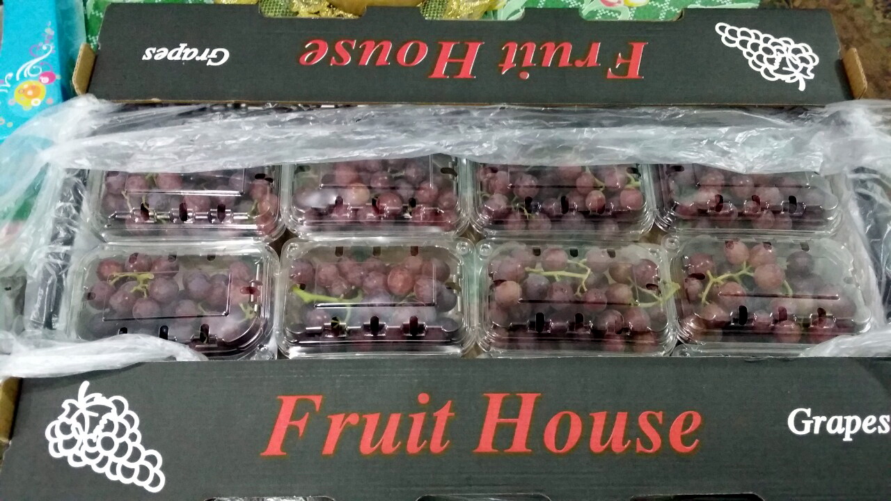 Egyptian-Grapes-143.jpg