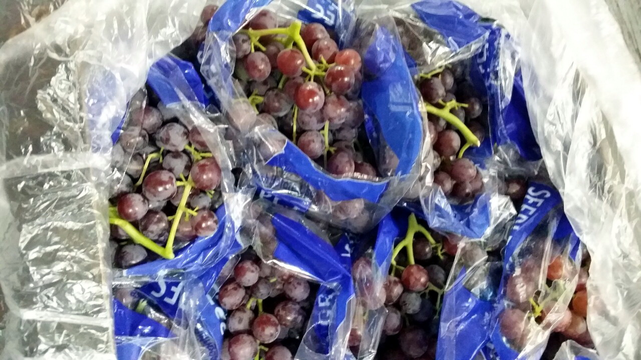 Egyptian-Grapes-146.jpg