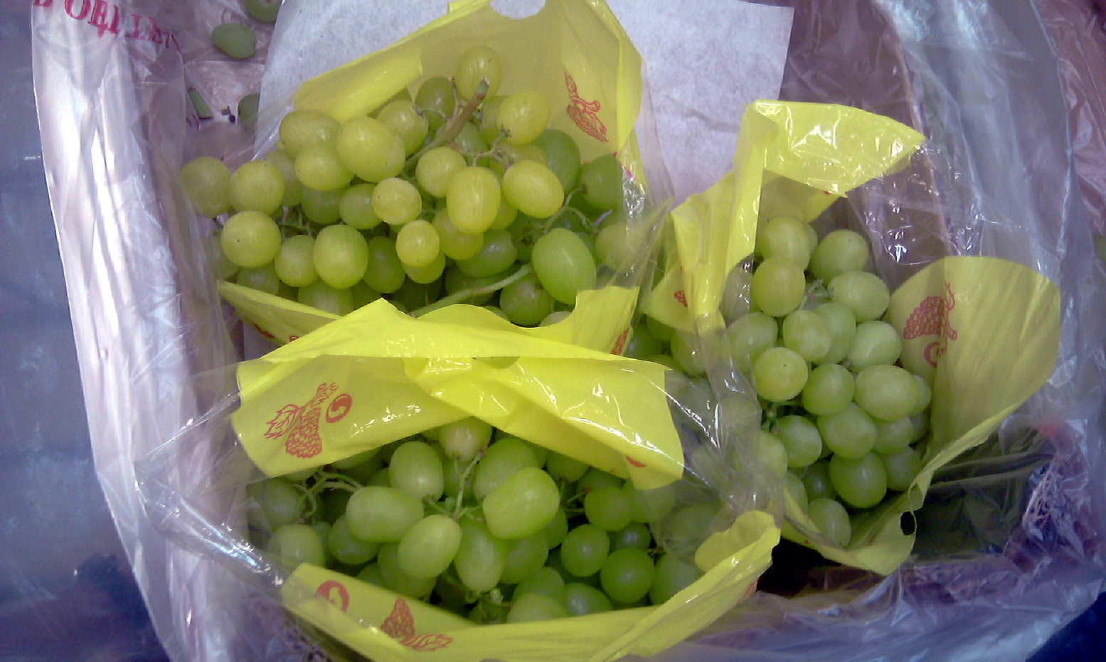 Grapes-Cairo-01.jpg