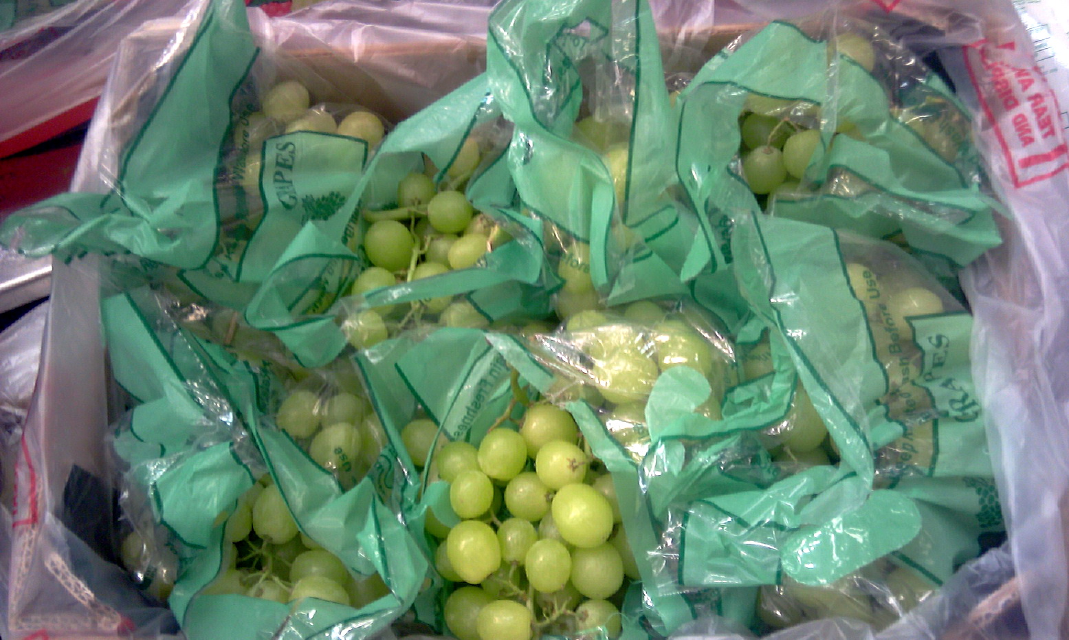 Grapes-Cairo-02.jpg