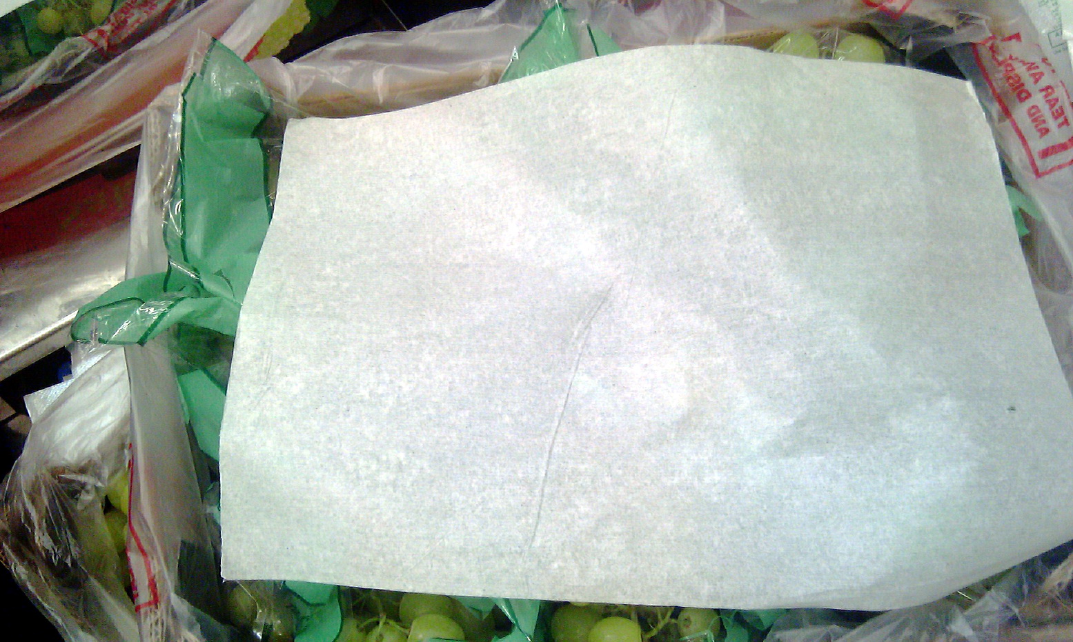 Grapes-Cairo-03.jpg