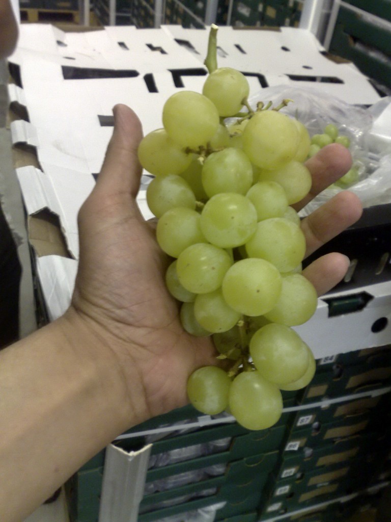 grapes_1.jpg