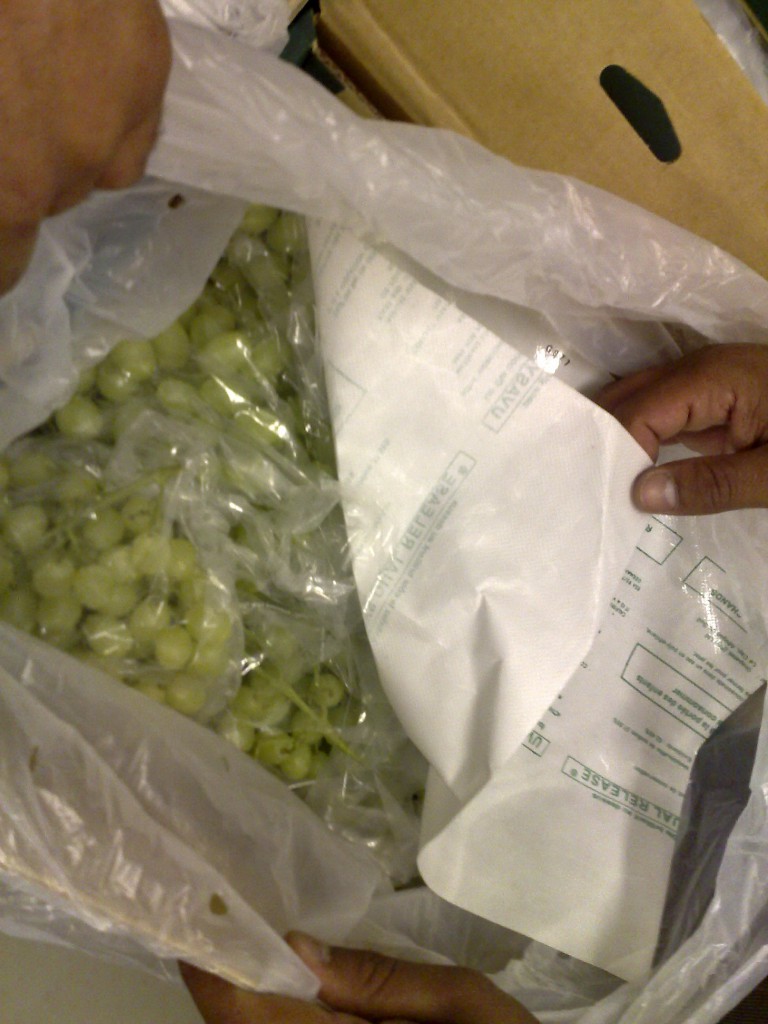 grapes_2.jpg