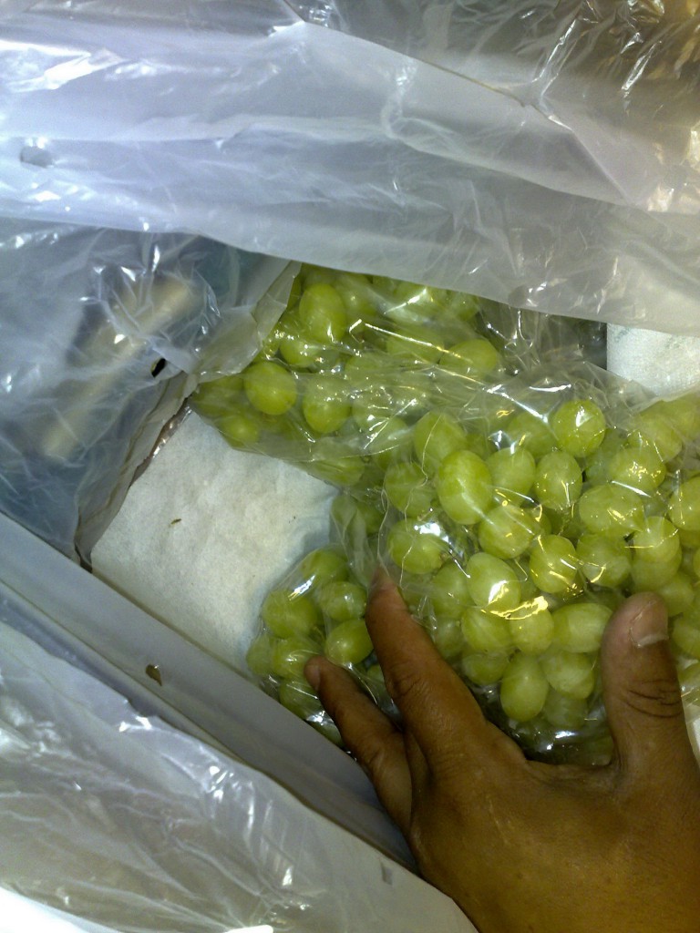 grapes_3.jpg