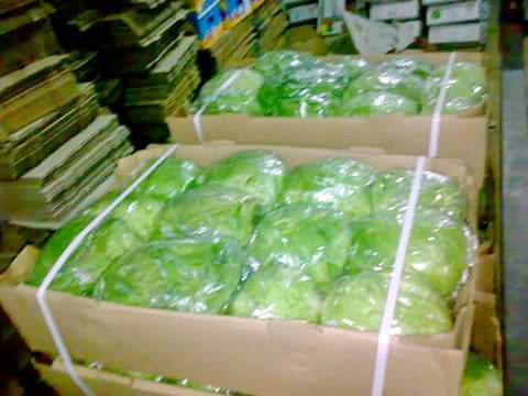 IMG-20161109-WA0021.jpg