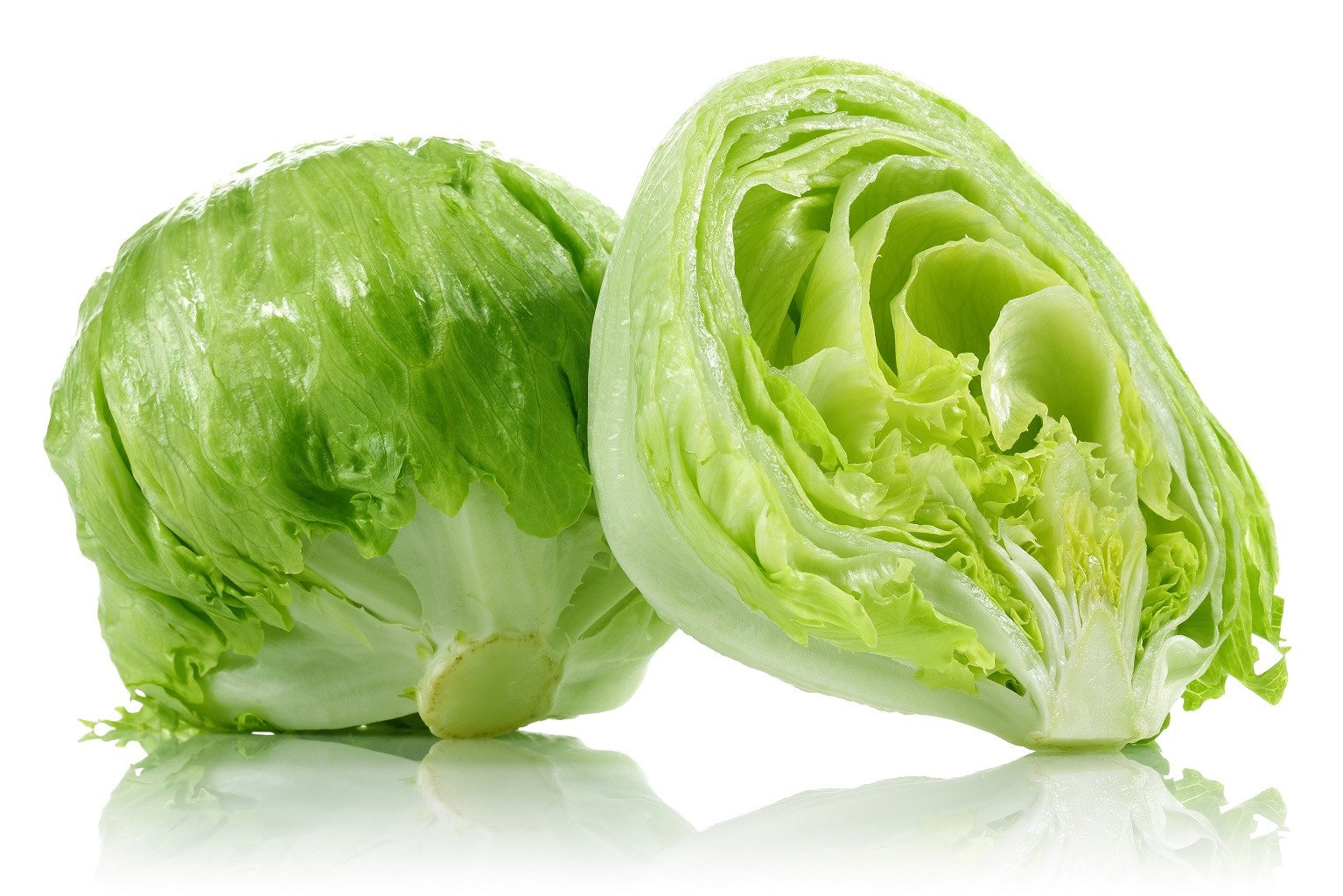 iceberglettuce1024_84897056_2048x2048.jpg
