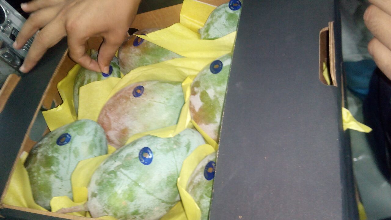 IMG-20170815-WA0018.jpg