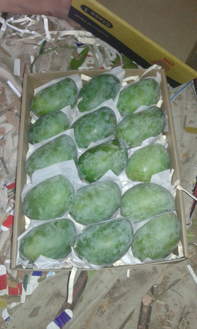 IMG-20170827-WA0041.jpg