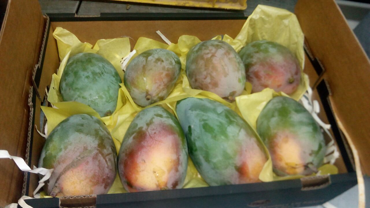 keith-mangoes.jpg