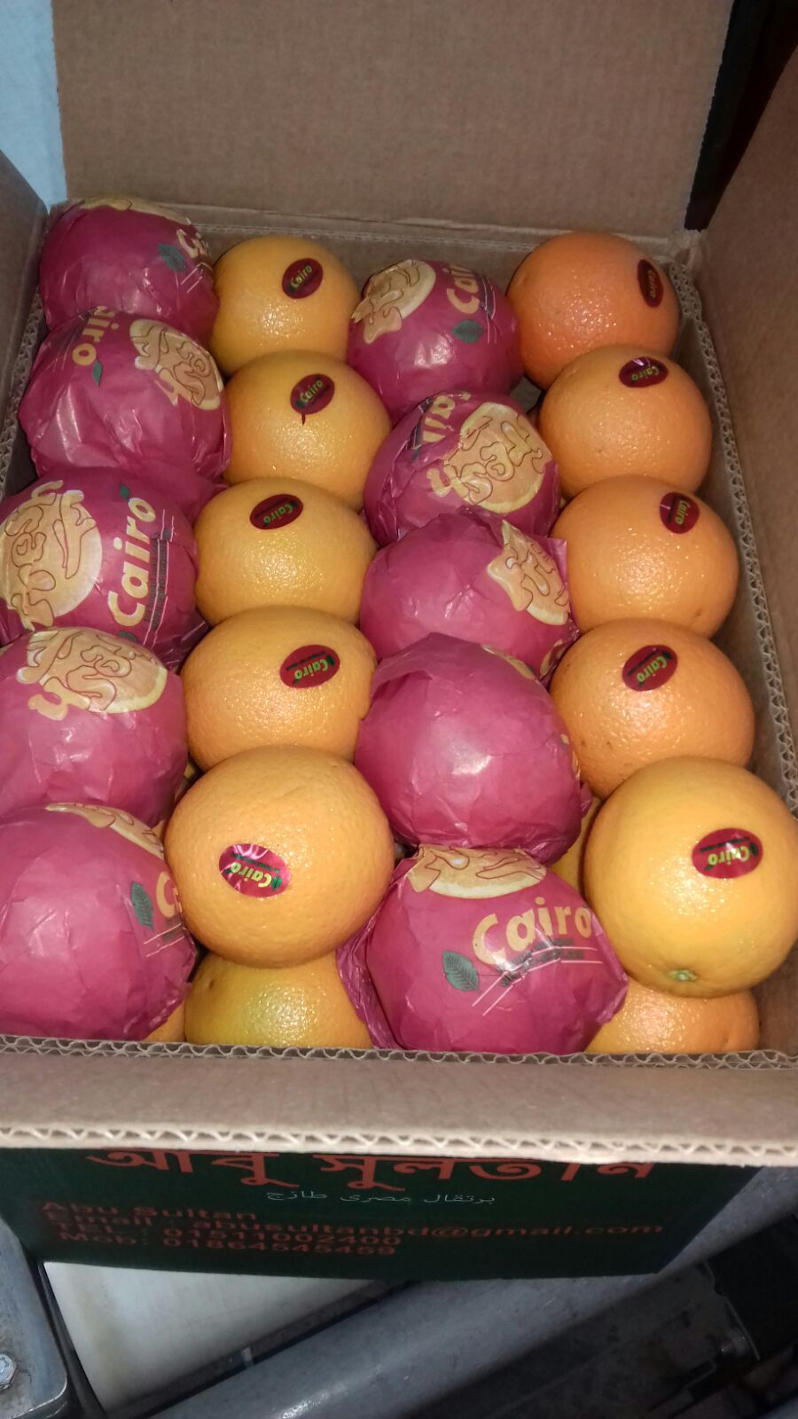 Cairo-Orange-02.jpg