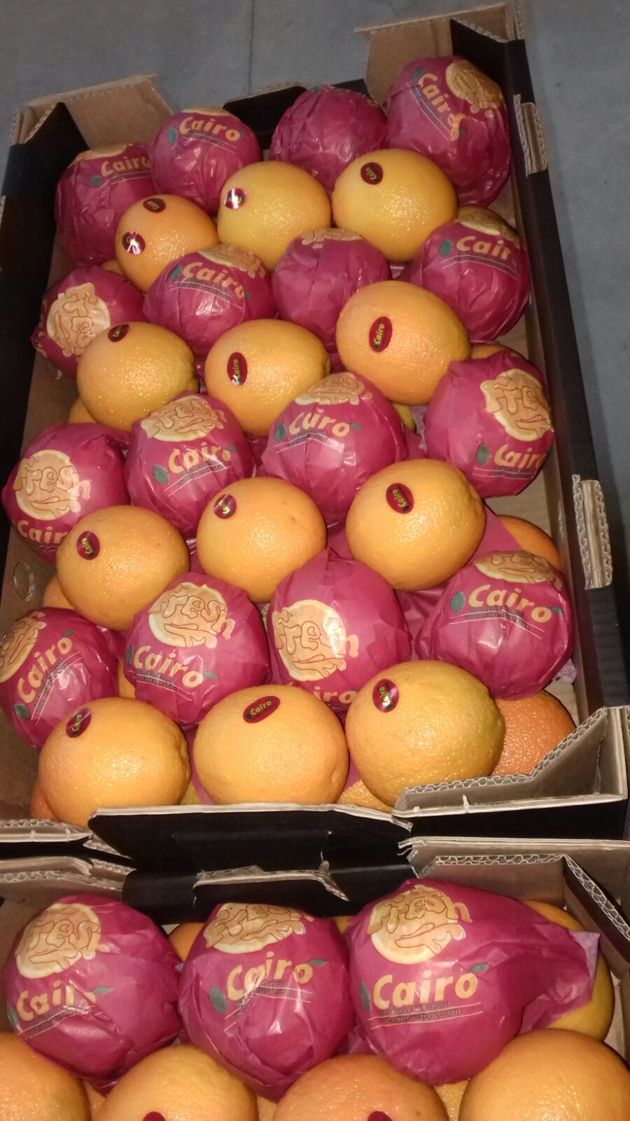 Cairo-Orange-03.jpg