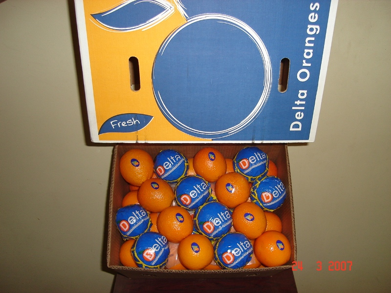 orange_2.jpg