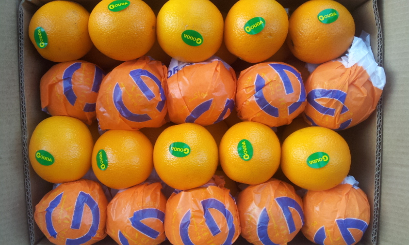 orange_4.jpg
