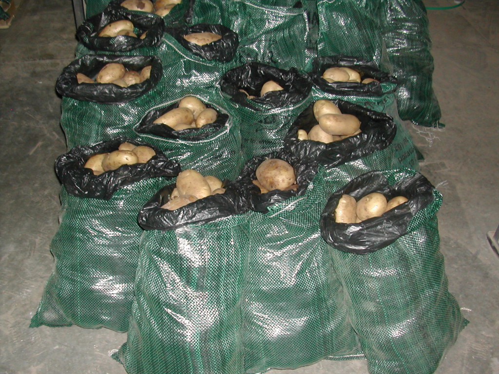 pot3.jpg