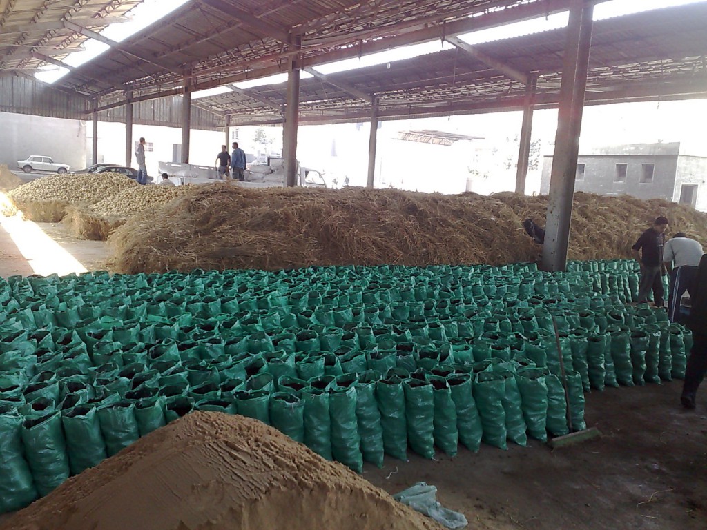 pot4.jpg