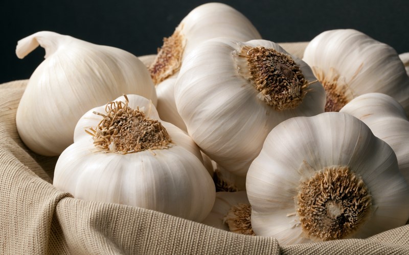 Garlics